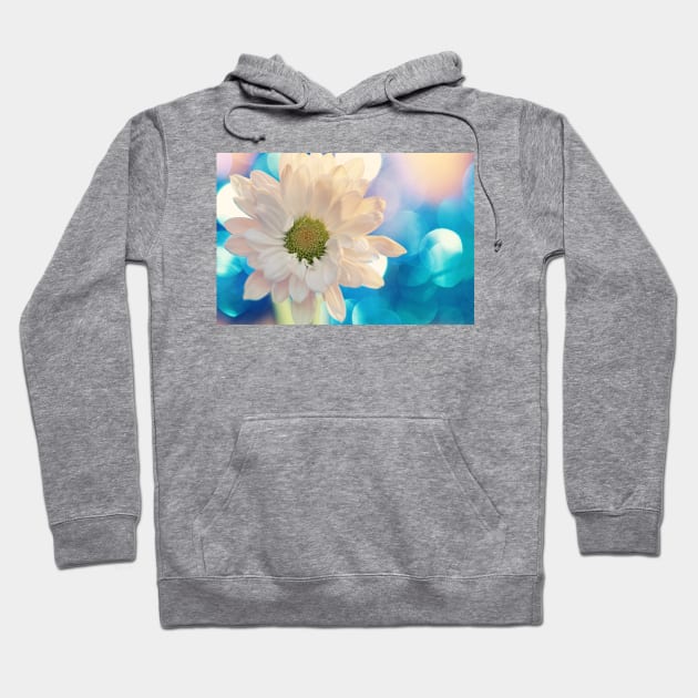 Can't Contain the Glory Hoodie by micklyn